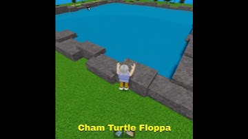 Cham Turtle Floppa