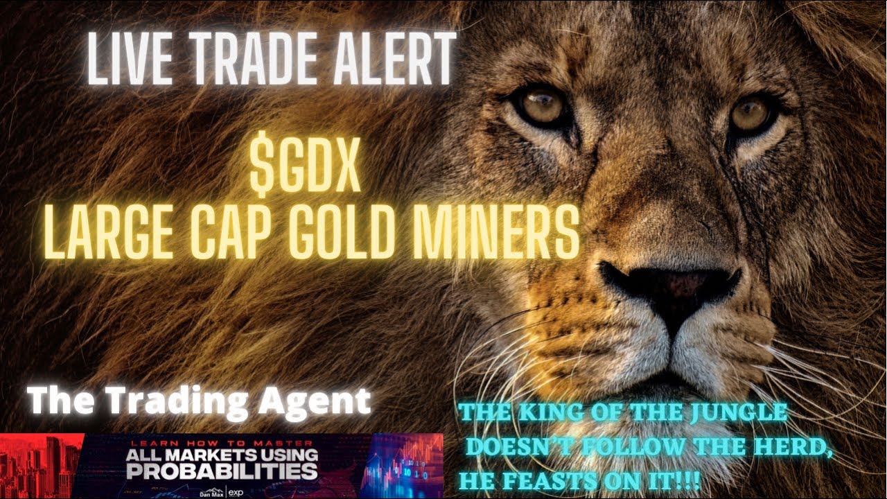 Live Trade Alert  - $GDX -  Large Cap Gold Miners- Monthly chart channel lows holding!