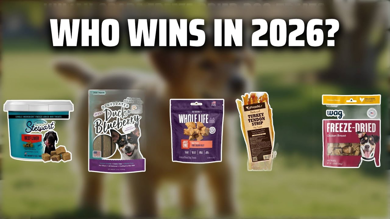 The Top 5 Best Dog Treats in 2026 - Must Watch Before Buying!