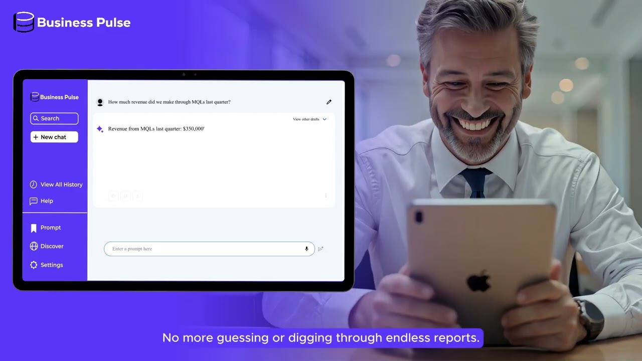 Business Pulse - Business Intelligence Platform
