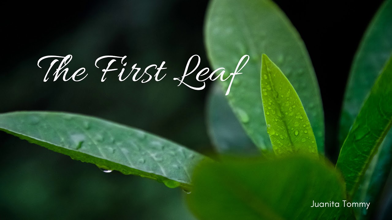 The First Leaf YouTube