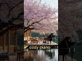 lake walk cozy piano vibe | for Studying, 🎹☕
