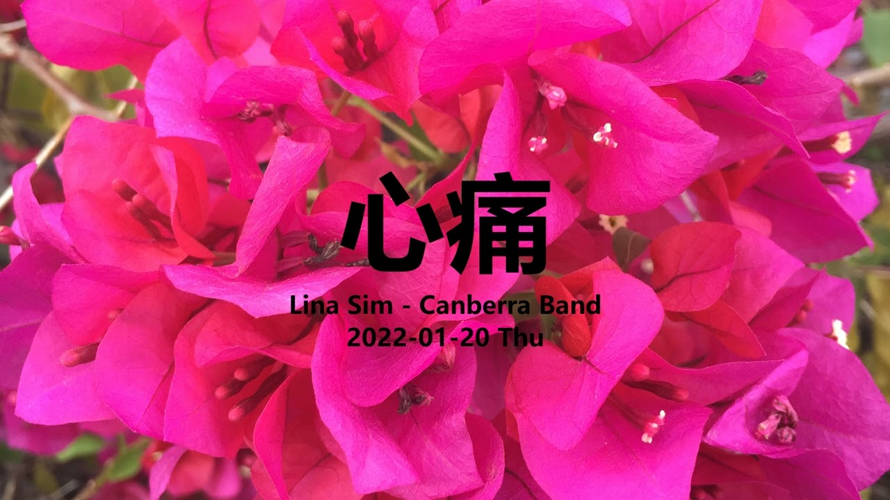 心痛 ---- Lina Sim ---- Canberra Band ---- F ---- Foxtrot