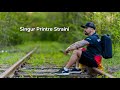 Poe Singur Printre Străini Official Video mp3