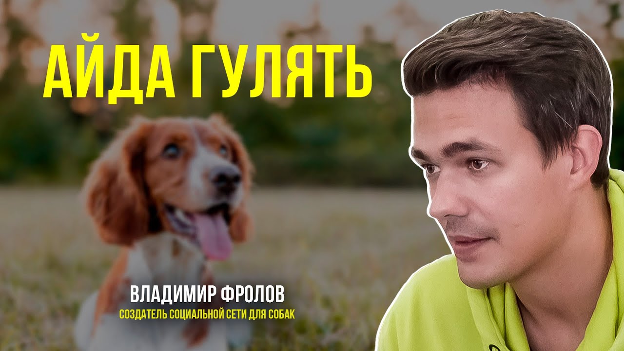 Теперь у собак есть своя социальная сеть - YouTube