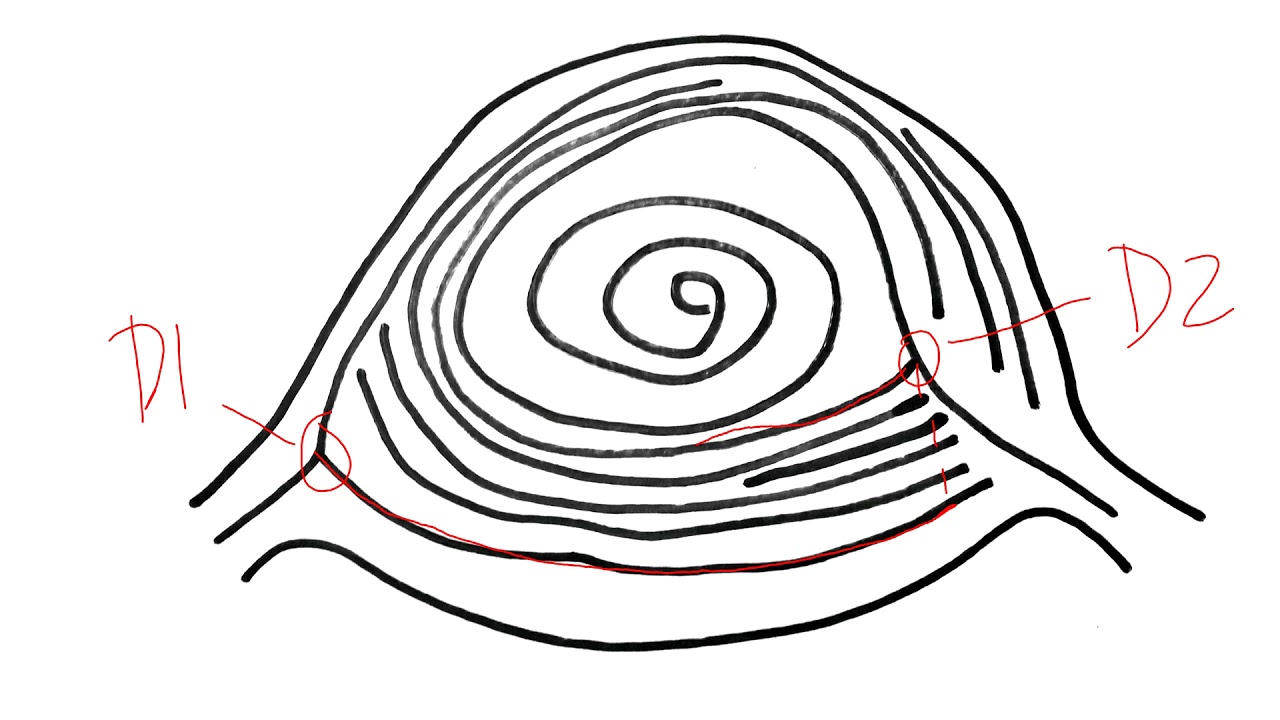 fingerprint-patterns-ridge-counting-and-ridge-tracing-youtube