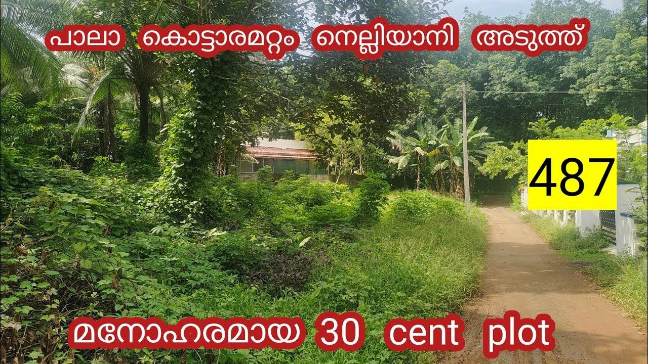 30 cent plot for sale in pala nelliyani landforsale landsales 