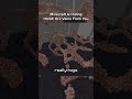 Minecraft is HIDING Huge Ore Veins From You