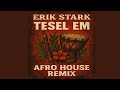 Erik Stark Tesel Em Afro House Remix