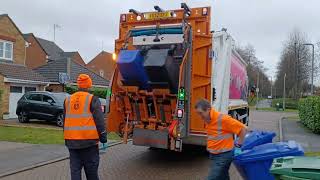 *Christmas and New Year Clearup* Dennis Elite + Olympus Bin Lorry on Mixed Recycling, ZFZ