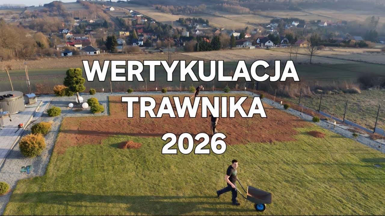 WERTYKULACJA TRAWNIKA 2026