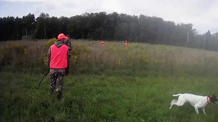 Pheasant Hunt Ontario