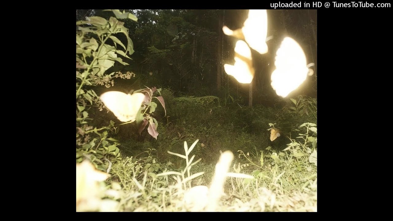 *free* protect type beat - in my room