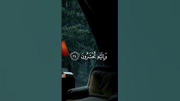 قل هو الذي انشأكم وجعل لكم السمع والأبصار ...تلاوة خاشعة إسلام صبحي #قرآن