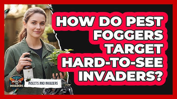 How Do Pest Foggers Target Hard-to-see Invaders? - Insects and Invaders