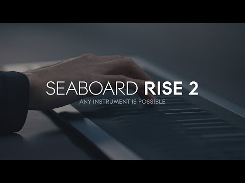 Seaboard RISE 2: Any instrument is possible