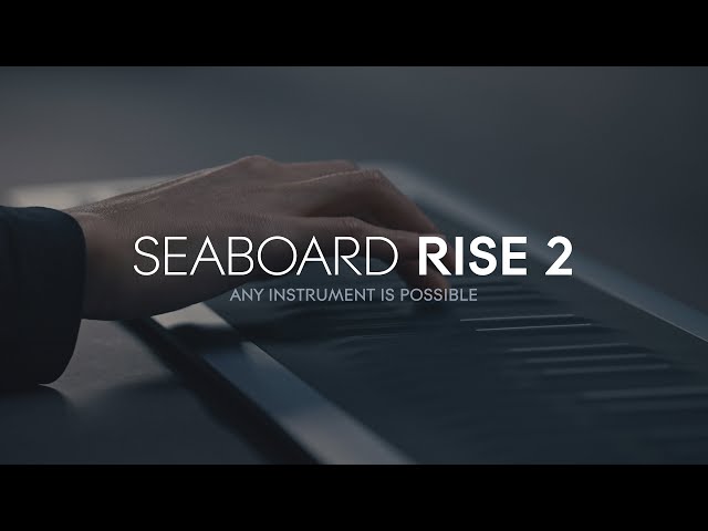 Seaboard RISE 2: Any instrument is possible class=