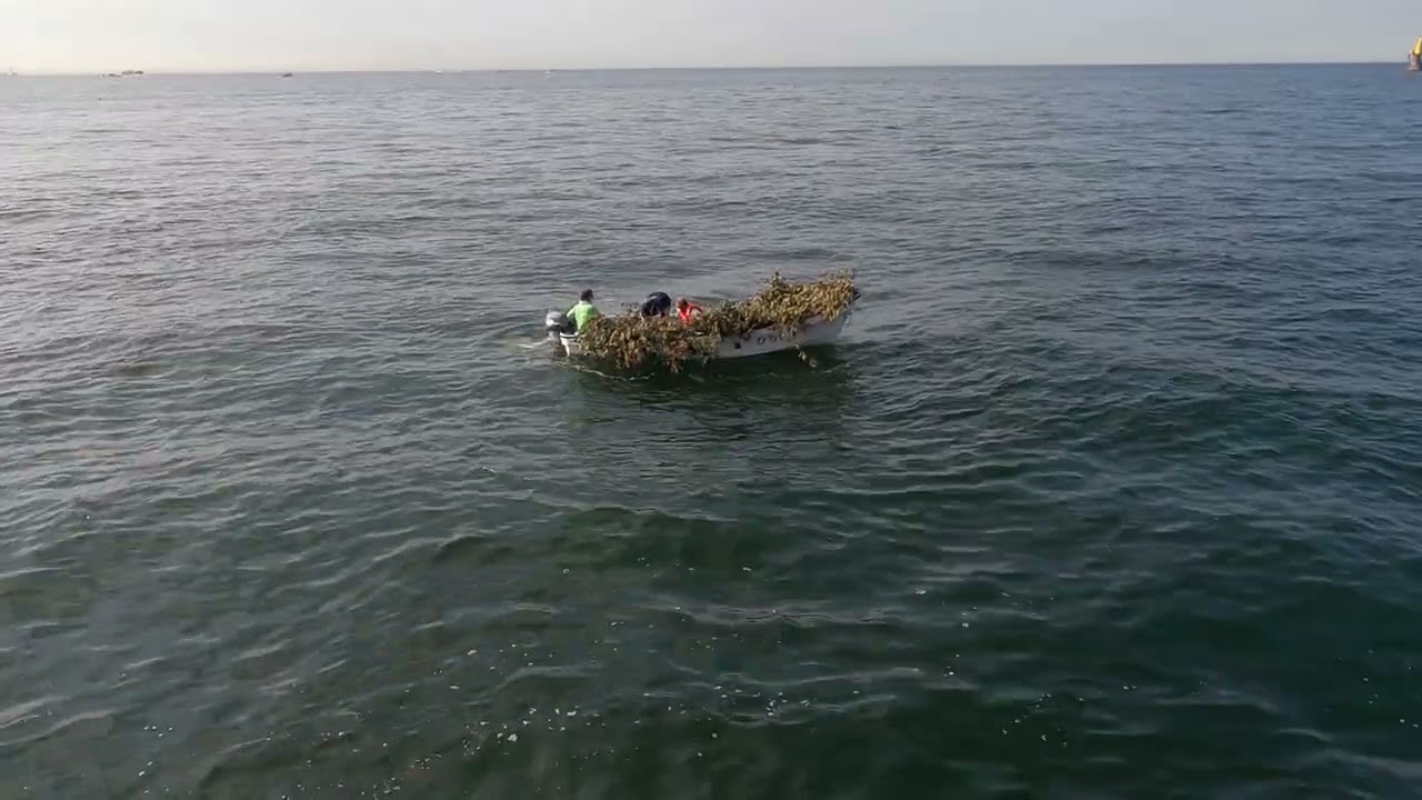 アオリコミュニティ Yamaria Corporation 新しい釣りを提案する