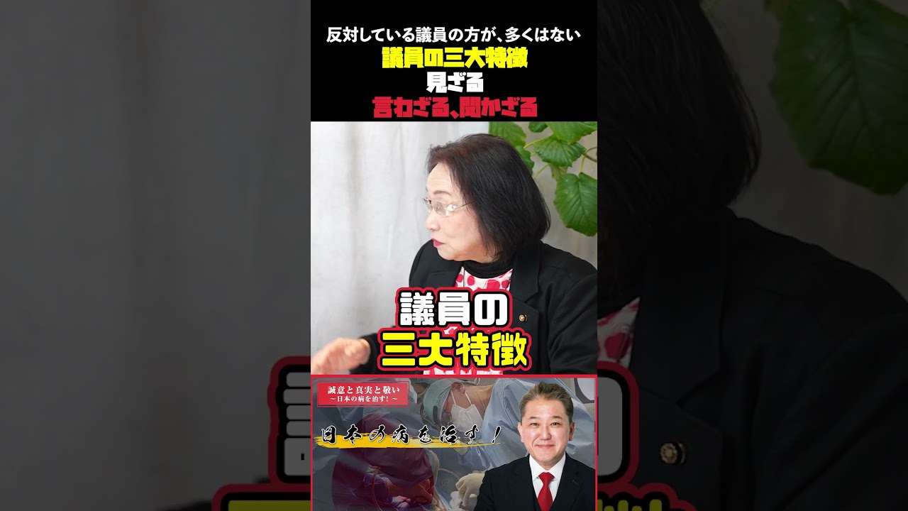 議員の三大特徴 見ざる言わざる聞かざる#吉野敏明 #政治 #池田としえ #日野市議会議員 #データセンター