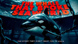 The Dark History of Tilikum That SeaWorld Never Wanted You to Know