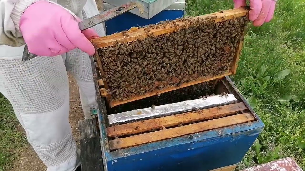 Proizvodnja matica, korak po korak III deo