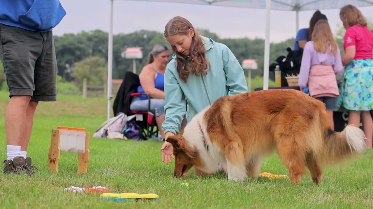 Bark in the Park 2025