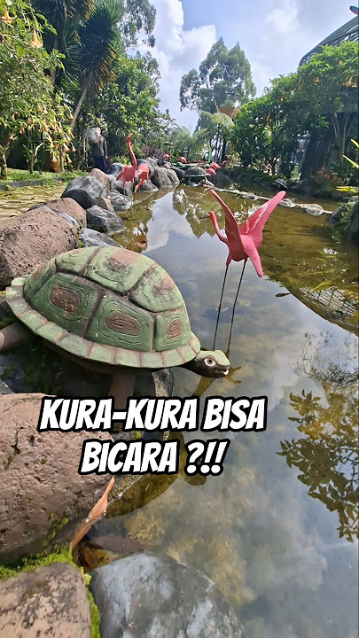 Turtles Can Talk⁉️ #trending #fyp viral #subscribe #shorts #holiday #turtle #viralvideo #fyp