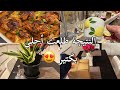أخيرا عملت كوفي كورنر في بيتي فراخ مشوية تحفة 