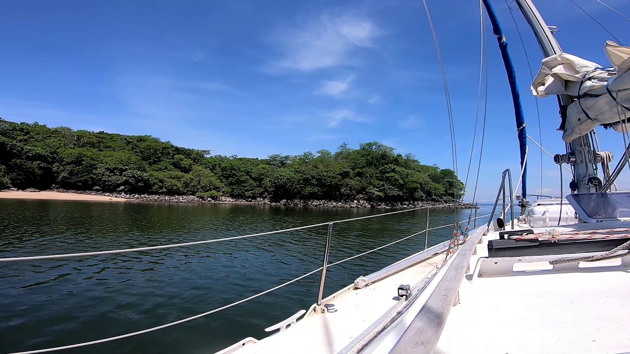 Minute in Paradise: Chill with Chuffed