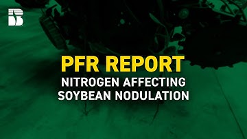 Nitrogen Affecting Soybean Nodulation | Beck