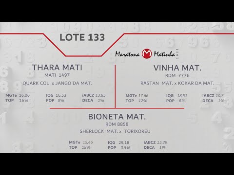 LOTE 133 Maratona Matinha