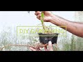 fastest way to thick bonsai trunk | bonsai tricks | bonsai trunk thickening