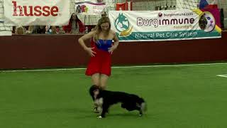 Rhythm & Roni Sagi OEC Dog Dance 2023 TOP10