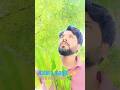Din Ho Chahe Raat Ho ❤️ | Nature Park Masti 🌿😍 #shorts #trendingshorts #viral @DCFunnyshorts24