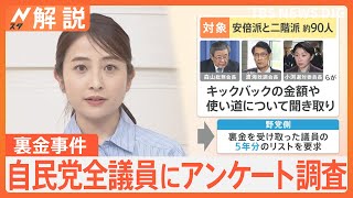 「党全体としてやっている感を出したいだけなのではないか」自民党全議員にアンケート行うも質問は2問のみ【Nスタ解説】｜TBS NEWS DIG