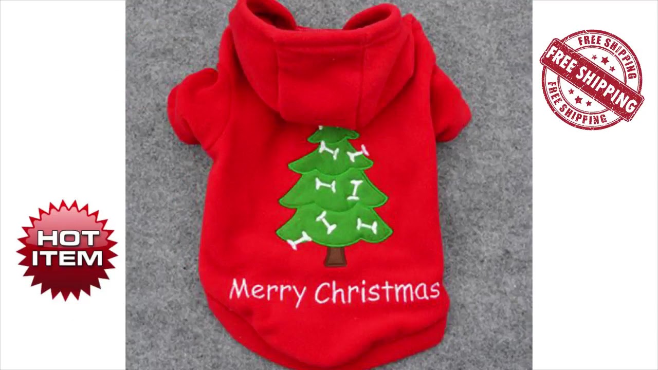 A Paw-some Holiday The Rise of the Christmas Dog Hoodie