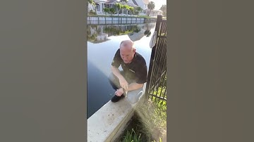 The top 2 tips you need to know about maintaining your seawall #shorts #construction #seawallrepair