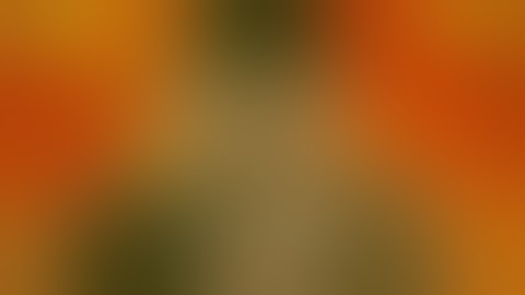 Banzai Series 1 Episode 1