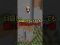 ゲームが下手な初心者だったら、目隠しでプレイしてても一切気づかれない説 #マイクラ #マインクラフト #shorts