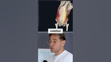 Trunk Rotation  Obliques Anatomy and Core Function Explained