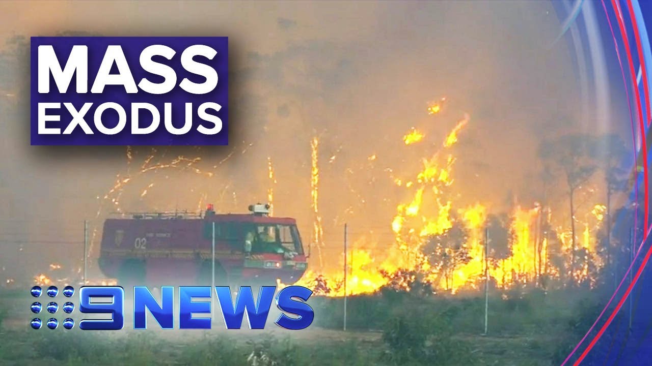 Australia fires: NSW declares State of Emergency | Nine News Australia