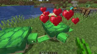 What Do Turtles Eat in Minecraft