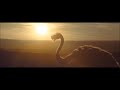 Samsung Ostrich Commercial but it's Star Wars Elton John Rocket Man