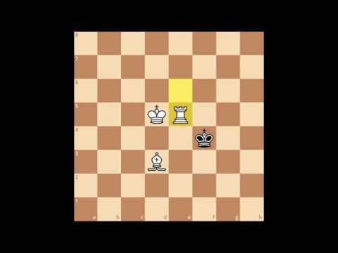 How to Checkmate With King & Rook (& Bishop)