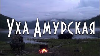 Уха амурская, подробный рецепт приготовления в тайге на берегу