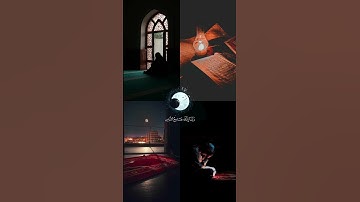 #تلاوة_هادئة #القارئ_عبد_الرحمن_مسعد القرآن الكريم راحة نفسية ❤️‍🩹 صلي على سيدنا محمد