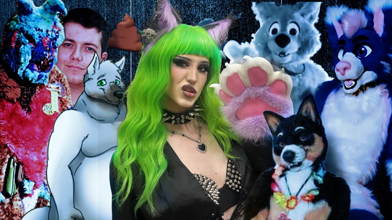 The Wildest Furry Fandom Incidents...