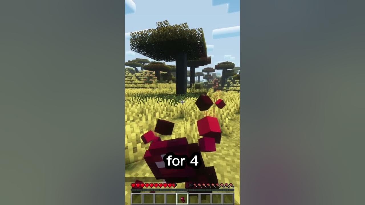 the-worst-food-in-minecraft-short-minecraft-youtube