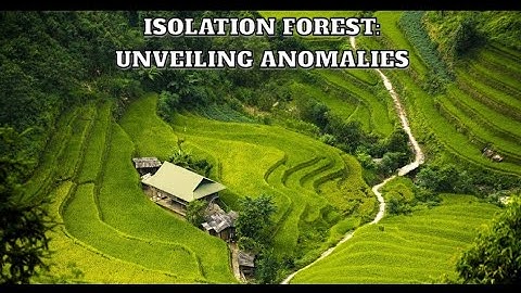 Isolation Forest Unveiling Anomalies