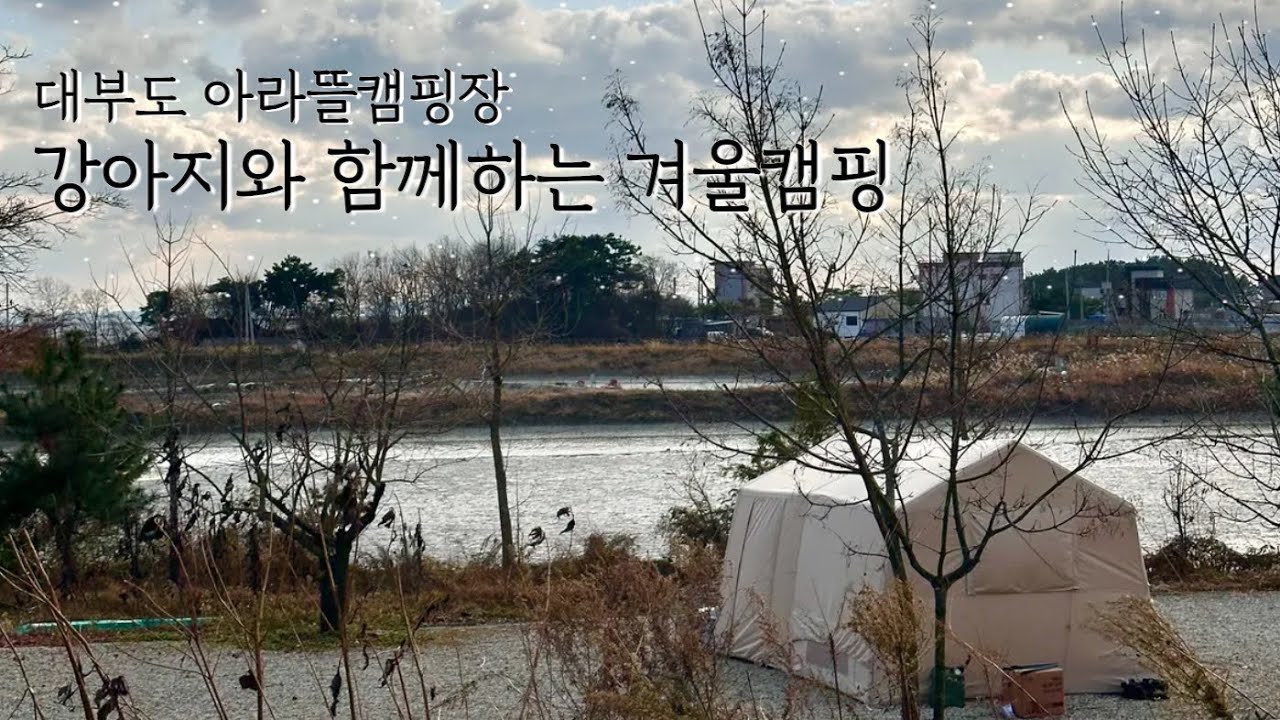 강아지 3마리와 대부도캠핑 | 제철 방어 | 네이처하이크 12X | 아라뜰캠핑장B5 | 애견캠핑